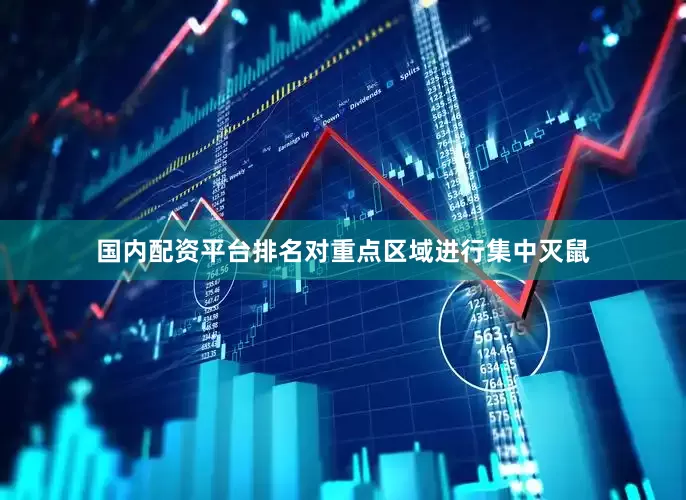 国内配资平台排名对重点区域进行集中灭鼠
